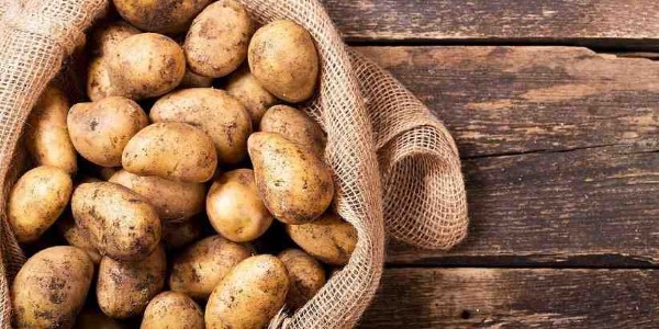 تصویر 4 از خرید و قیمت سیب زمینی تازه جیرفت + فروش صادراتی